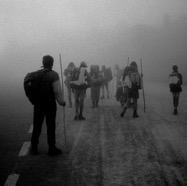 stae (10).jpg